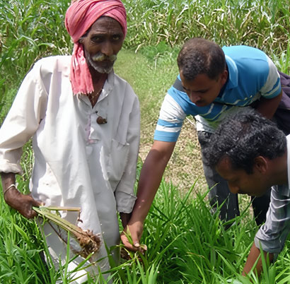 Farmer Support